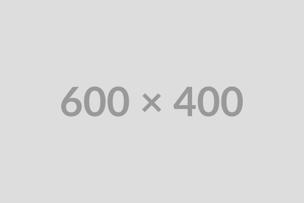 600x400 placeholder image
