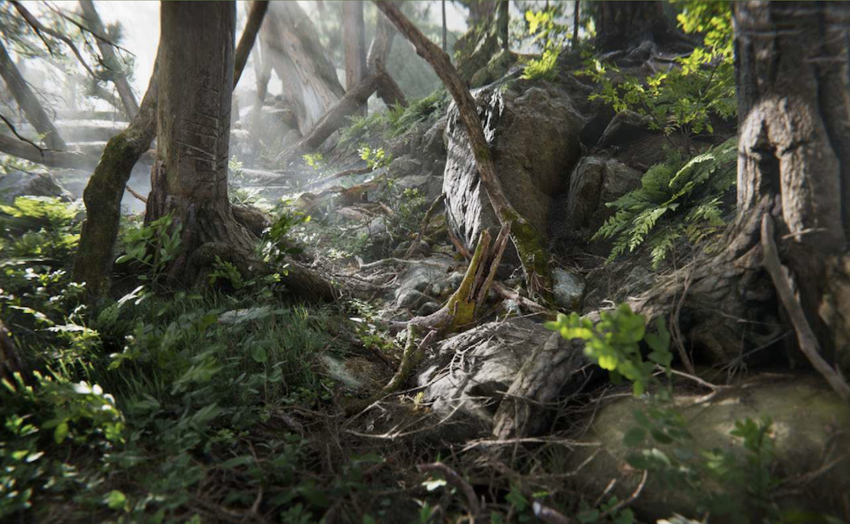 forest landscape
